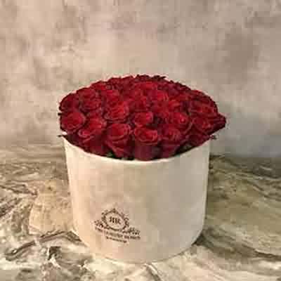 اهنگ جاری جونوم بیا یه دقیقه بشینیم ریمیکس اینستا اهنگ جاری جونوم بیا یه دقیقه بشینیم ریمیکس اینستا