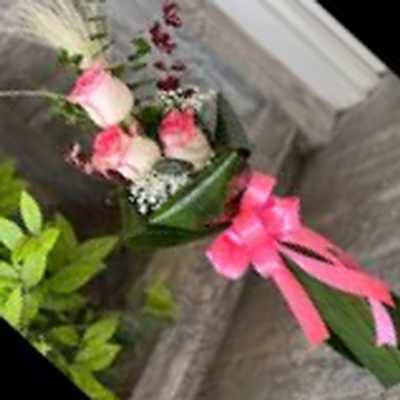 اهنگ راه ره ور هادین در بورم شنه دلبر با صدای زن ریمیکس اینستا اهنگ راه ره ور هادین در بورم شنه دلبر با صدای زن ریمیکس اینستا