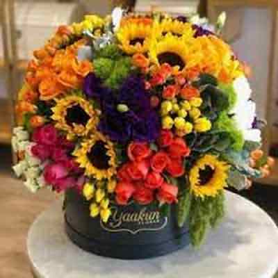 اهنگ واسه قلب مرده من هایده با صدای زن ریمیکس اینستا ترکی