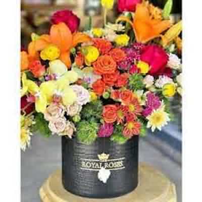 اهنگ Jasmin Tojiki bachaaa تاجیکی بچه ریمیکس اینستا با صدای زن اهنگ Jasmin Tojiki bachaaa تاجیکی بچه ریمیکس اینستا با صدای زن