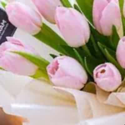 اهنگ بیا ای دختر بیا پیش من بیا ریمیکس اینستا