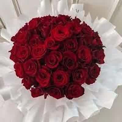 اهنگ ای خالق هر قصه من با صدای زن ریمیکس اینستا اهنگ ای خالق هر قصه من با صدای زن ریمیکس اینستا