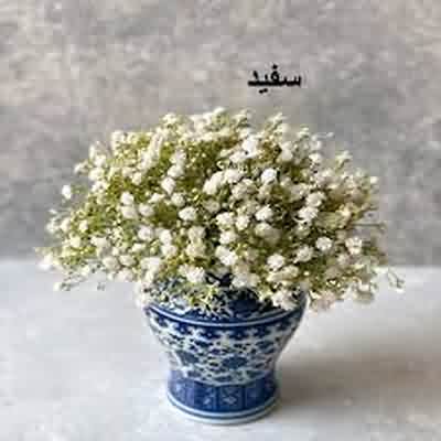 اهنگ نمیخوامت چون که لاو نیستش زوری مامان ببخش ریمیکس اینستا