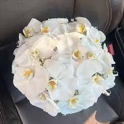 اهنگ میخوانم نغمه نو دلکش + ریمیکس اینستا رپی اهنگ میخوانم نغمه نو دلکش + ریمیکس اینستا رپی