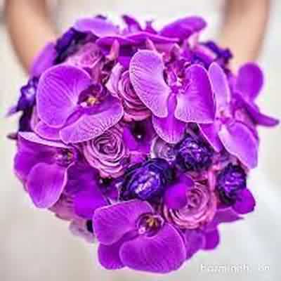 اهنگ اصلا بعد من با کی سرت گرم شده با صدای پسر ریمیکس اینستا