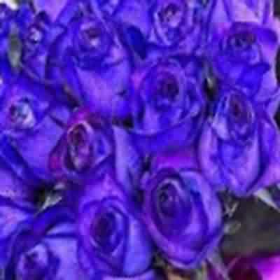 اهنگ لعنت به ای زندگی آخه دردم بگم به کی محسن لرستانی ریمیکس اینستا اهنگ لعنت به ای زندگی آخه دردم بگم به کی محسن لرستانی ریمیکس اینستا