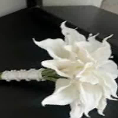 اهنگ خوشگلای من توجه کنن بده شیش ریمیکس اینستا