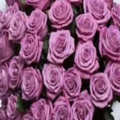 اهنگ عربی شاکو ماکو ریمیکس ترند اینستاگرام