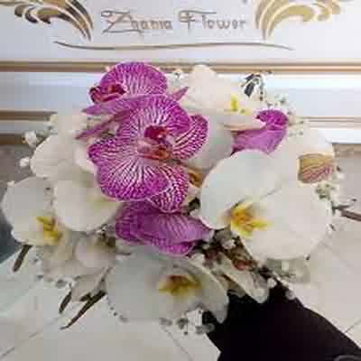 اهنگ تو حتی بدترین آدم زمینم باشی ما ول نمیکنیم ریمیکس اینستا اهنگ تو حتی بدترین آدم زمینم باشی ما ول نمیکنیم ریمیکس اینستا