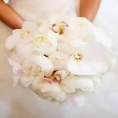 آهنگ ای آسمون تاریک نشد نوبت ما نشد یبار محسن لرستانی ریمیکس اینستا