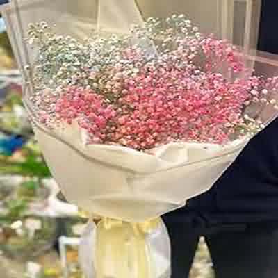 اهنگ تو اصلا دوسم نداشتی از همون اولش ریمیکس اینستا اهنگ تو اصلا دوسم نداشتی از همون اولش ریمیکس اینستا