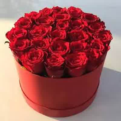 اهنگ قطره قطره اشک چشمم ریمیکس اینستا اهنگ قطره قطره اشک چشمم ریمیکس اینستا