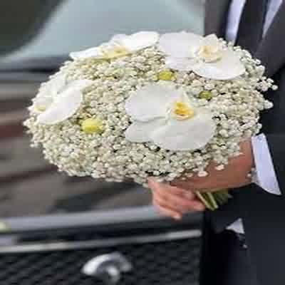 اهنگ ای مهر ای صبحگاه ساعت هفت میرم به مدرسه ریمیکس اینستا اهنگ ای مهر ای صبحگاه ساعت هفت میرم به مدرسه ریمیکس اینستا