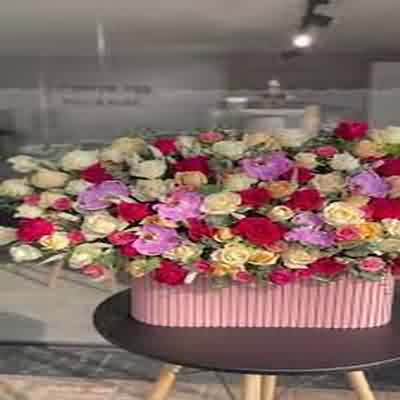اهنگ میشه قربون چشات برم مال منیا جایی نریا ریمیکس اینستا