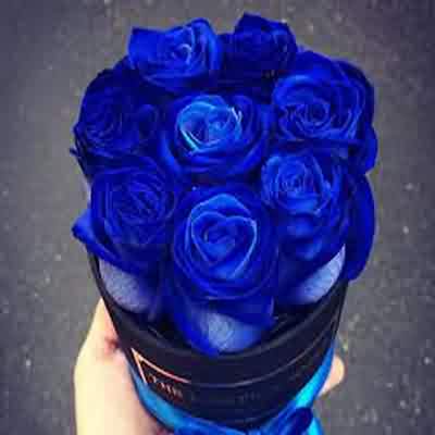 اهنگ خانم دکتره انگار درس خونده سوربن ریمیکس ترند اینستا