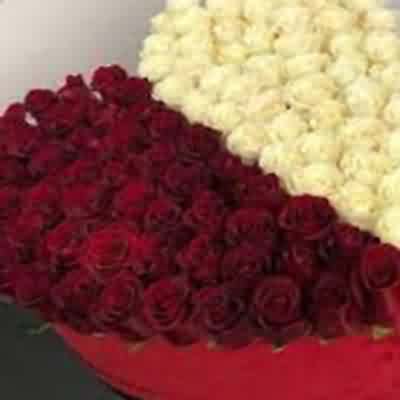 اهنگ ریمیکس leka el poeta ella quiere hmm..haa..hmm.. remix اهنگ ریمیکس leka el poeta ella quiere hmm..haa..hmm.. remix