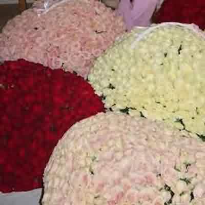 اهنگ بزار رو سینم سرتو ریمیکس اینستا