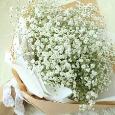 اهنگ چقدر عقده نگه داشتم تو دل پیرم ریمیکس اینستا