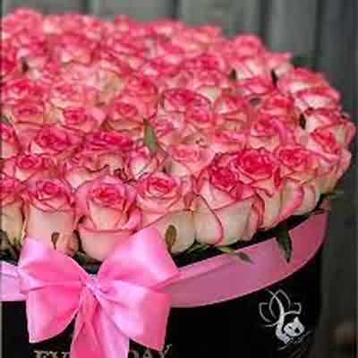 اهنگ baila morena با صدای زن ریمیکس اینستا و تیک تاک اهنگ baila morena با صدای زن ریمیکس اینستا و تیک تاک