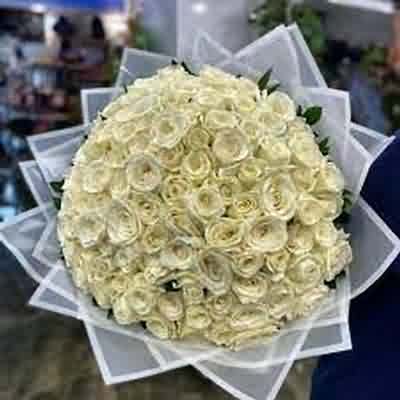 اهنگ تیات پلنگی والا استایل جنگی والا با صدای زن ریمیکس اینستا اهنگ تیات پلنگی والا استایل جنگی والا با صدای زن ریمیکس اینستا