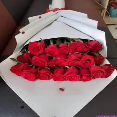 آهنگ شما بزنید من جلویم روی مبلم ولویم اینا بالاین من ملویم ریمیکس
