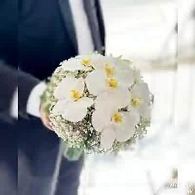 اهنگ نموندی رو حرف خو نموندی بیمه اتکشت با صدای زن ریمیکس اینستا اهنگ نموندی رو حرف خو نموندی بیمه اتکشت با صدای زن ریمیکس اینستا