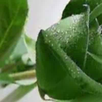 اهنگ کی اشکاتو پاک میکنه وقتی که گریه داری ریمیکس اینستا اهنگ کی اشکاتو پاک میکنه وقتی که گریه داری ریمیکس اینستا