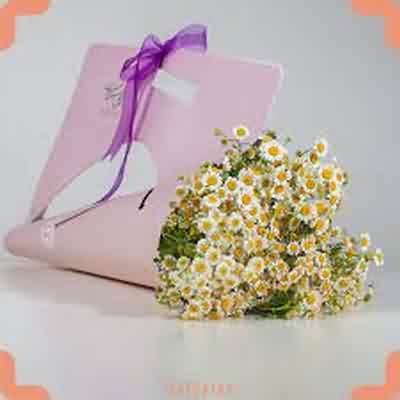 اهنگ به یاد تو بودم حتی وقتی با صدای زن ریمیکس اینستا اهنگ به یاد تو بودم حتی وقتی با صدای زن ریمیکس اینستا