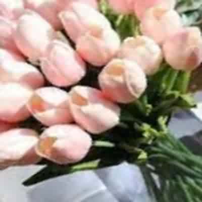 اهنگ خب پس همه چیزو بگو همه چیزو میخوام ببینم با صدای بچه ریمیکس اینستا اهنگ خب پس همه چیزو بگو همه چیزو میخوام ببینم با صدای بچه ریمیکس اینستا