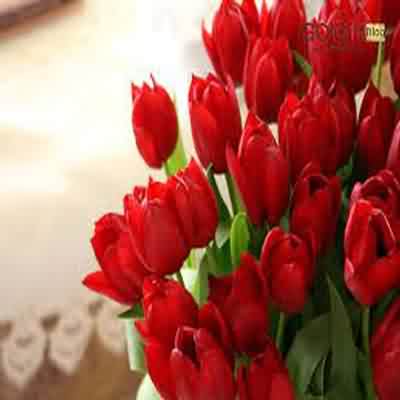 اهنگ گلمی گلمی گل نیلوفرم ای همه ی باورم ریمیکس اینستا