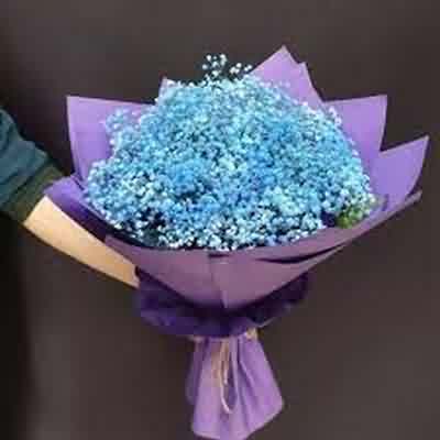 اهنگ مه مجنون تومو تو لیلی مه با صدای زن ریمیکس اینستا