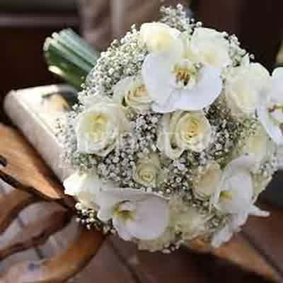 دانلود آهنگ Mirjalol Nematov Dilbar ریمیکس اینستا دانلود آهنگ Mirjalol Nematov Dilbar ریمیکس اینستا