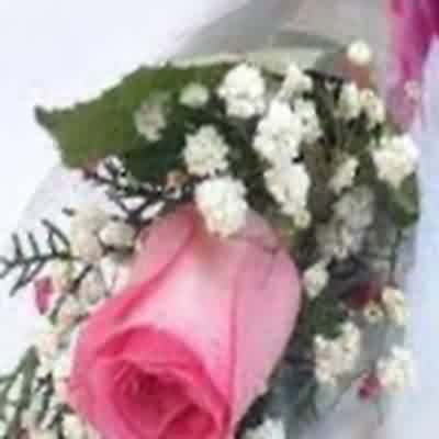 اهنگ چرا یادم نمیری تو که قول دادی با من ریمیکس اینستا اهنگ چرا یادم نمیری تو که قول دادی با من ریمیکس اینستا
