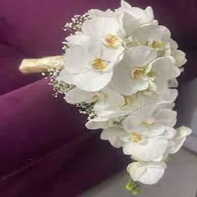 اهنگ عندك واجبه قوم ادرسه احنا أسسنا المدرسة ریمیکس اینستا
