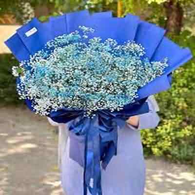 اهنگ بورا مصیر یولودو شینقیلی نانای نانای ریمیکس اینستا اهنگ بورا مصیر یولودو شینقیلی نانای نانای ریمیکس اینستا