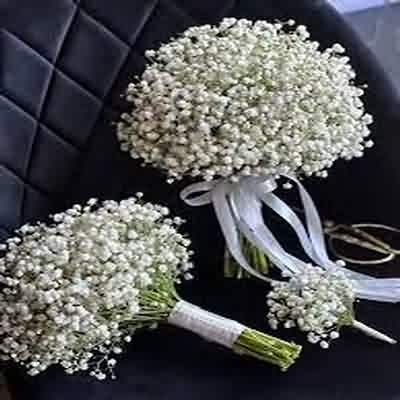 آهنگ چشم به راهتم بیا که بی تو بختم سیاست تتلو ریمیکس اینستا