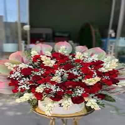 اهنگ دلو دادم بهت تو جزیره ولی گلزار تنهایی نمیپذیره ریمیکس اینستا