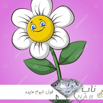 دانلود 40 آهنگ برتر هایده یکجا ریمیکس فول البوم یکجا