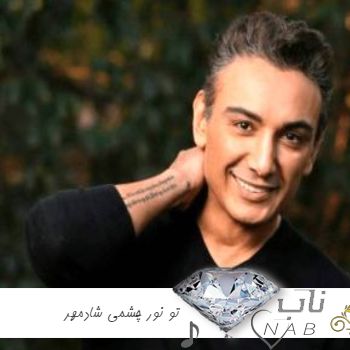 دانلود آهنگ تو نور چشمی میبره دل منو موی مشکیت شادمهر ریمیکس