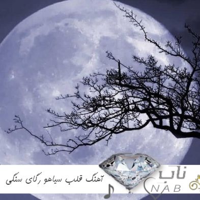 دانلود آهنگ قلب سیاهو رگای سنگی ریمیکس اینستا با صدای بچه زن مرد ترند جدید
