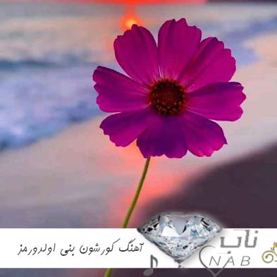 دانلود آهنگ ابراهیم تاتلیس کورشون بنی اولدورمز ریمیکس اینستا