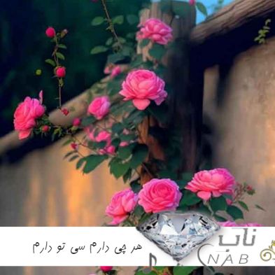 دانلود آهنگ لری هر چی دارم سی تو دارم ریمیکس با صدای زن اینستاگرام ترند