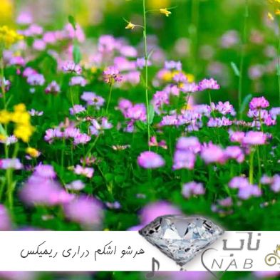 دانلود آهنگ هرشو اشکم دراری ریمیکس اینستا رامین تجنگی مسعود بیژندی ترند جدید کامل