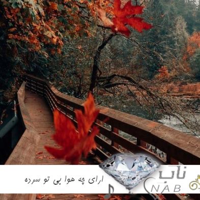 دانلود آهنگ ارای چه هوا بی تو سرده ریمیکس تند بیس دار رامین تجنگی