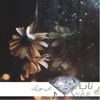 دانلود آهنگ دل که یه ویرونه بود بخت که وارونه بود هوش مصنوعی با صدای زن هایده