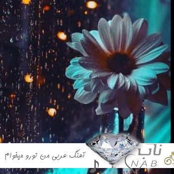 دانلود آهنگ عربی من تورو میخوام عزیزم ریمیکس با صدای بچه ورژن تیک تاک دانلود آهنگ عربی من تورو میخوام عزیزم ریمیکس با صدای بچه ورژن تیک تاک