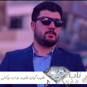 دانلود آهنگ شلیره گیان شلیره آوات بوکانی ریمیکس اینستا