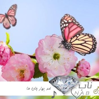 دانلود اهنگ امد بهار جان ها ریمیکس دیجی سونامی دانلود اهنگ امد بهار جان ها ریمیکس دیجی سونامی