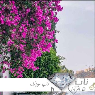دانلود ریمیکس آهنگ های نوروزی هایده و مهستی قدیمی خاطره انگیز عید نوروز