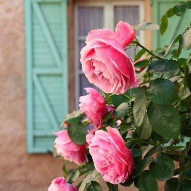 دانلود آهنگ لیلی مو بازم گلم هنوز دوستت دارم لیلی مو یادم نرفت هنوز تویی یارم با صدای مهستی هوش مصنوعی